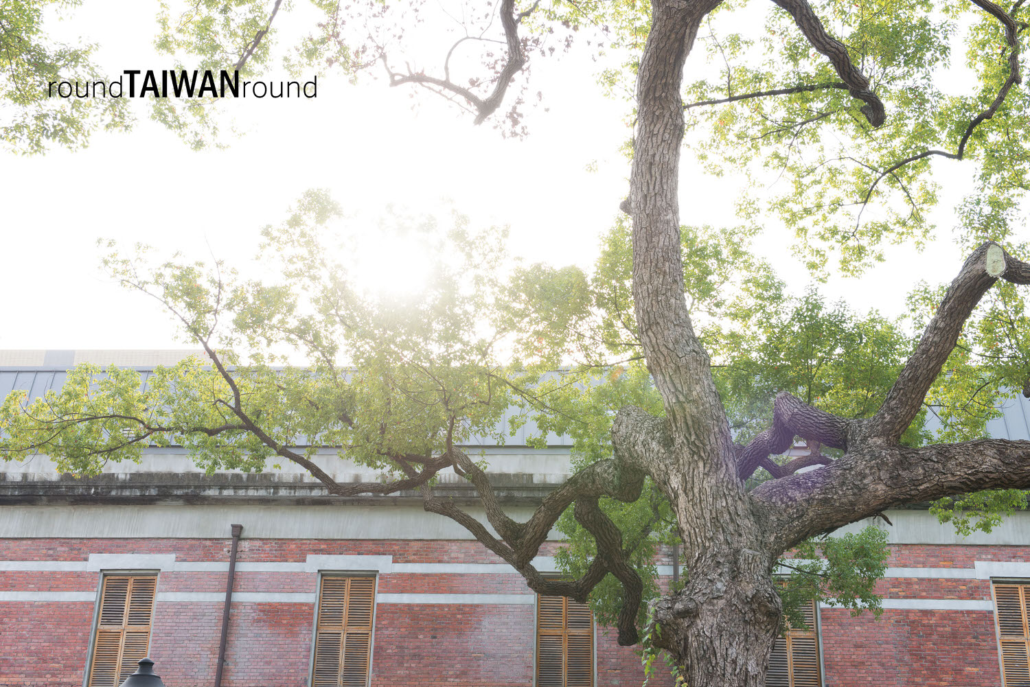 Nanmen_Park_of_NTM__________-______-013.jpg