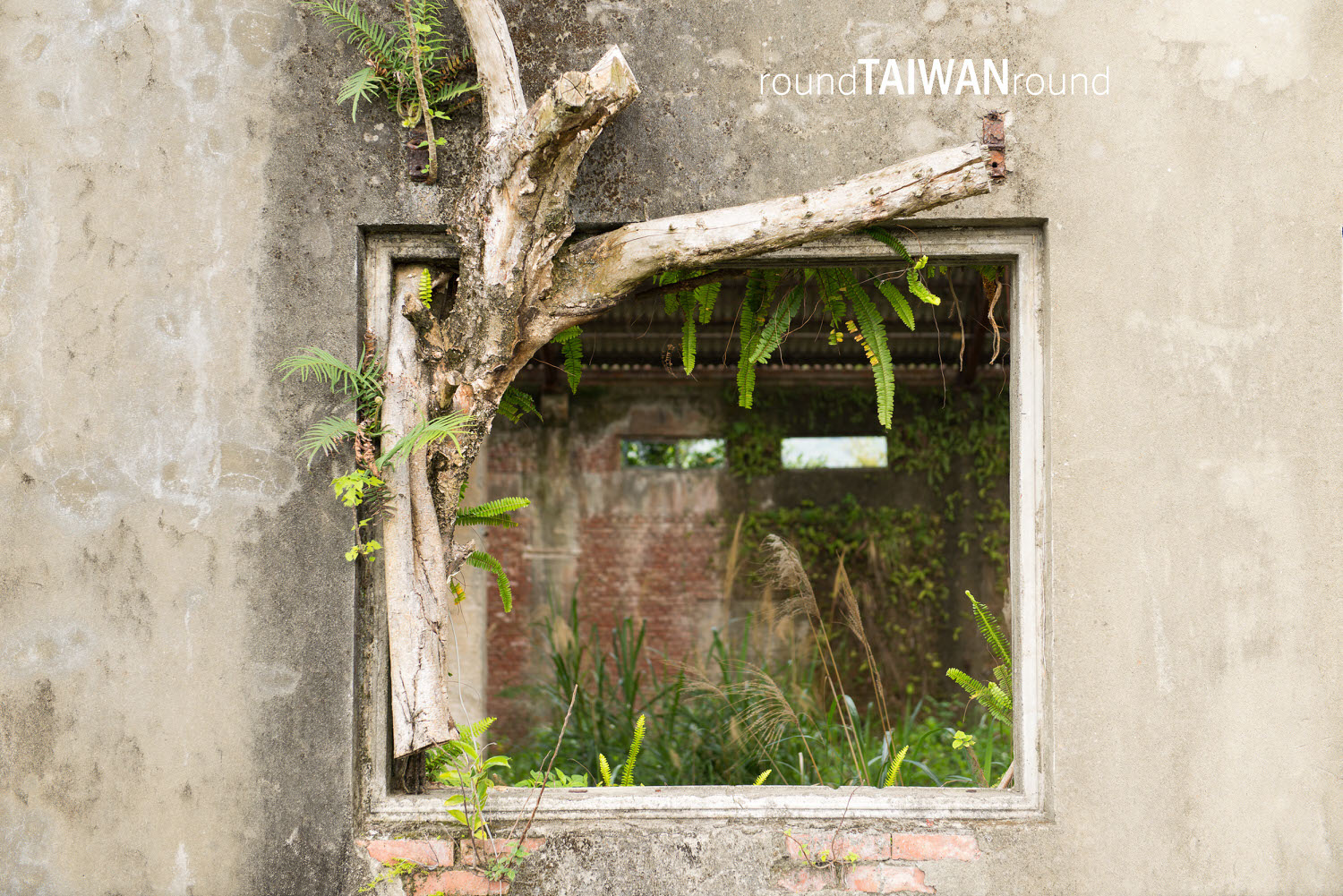 Tongyi_Tile_Factory___________-039.jpg
