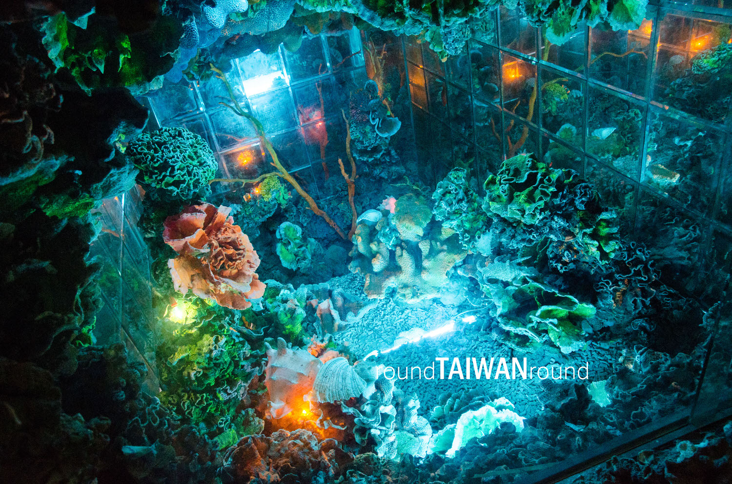 Dayi_Temple______-014.jpg