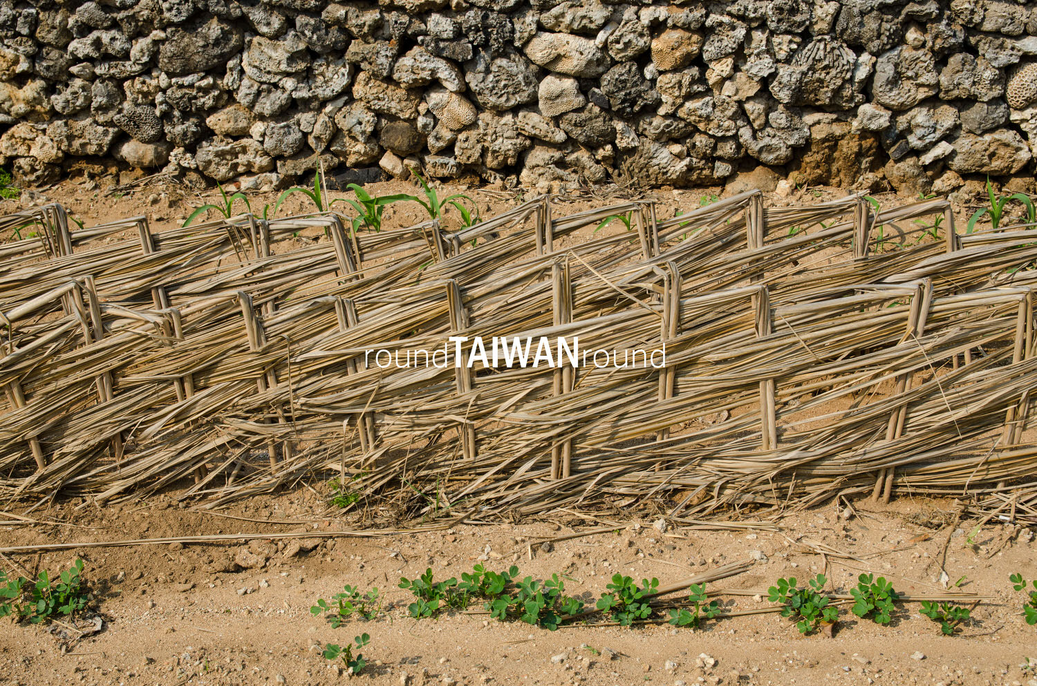 Nanliao_Community_______-008.jpg
