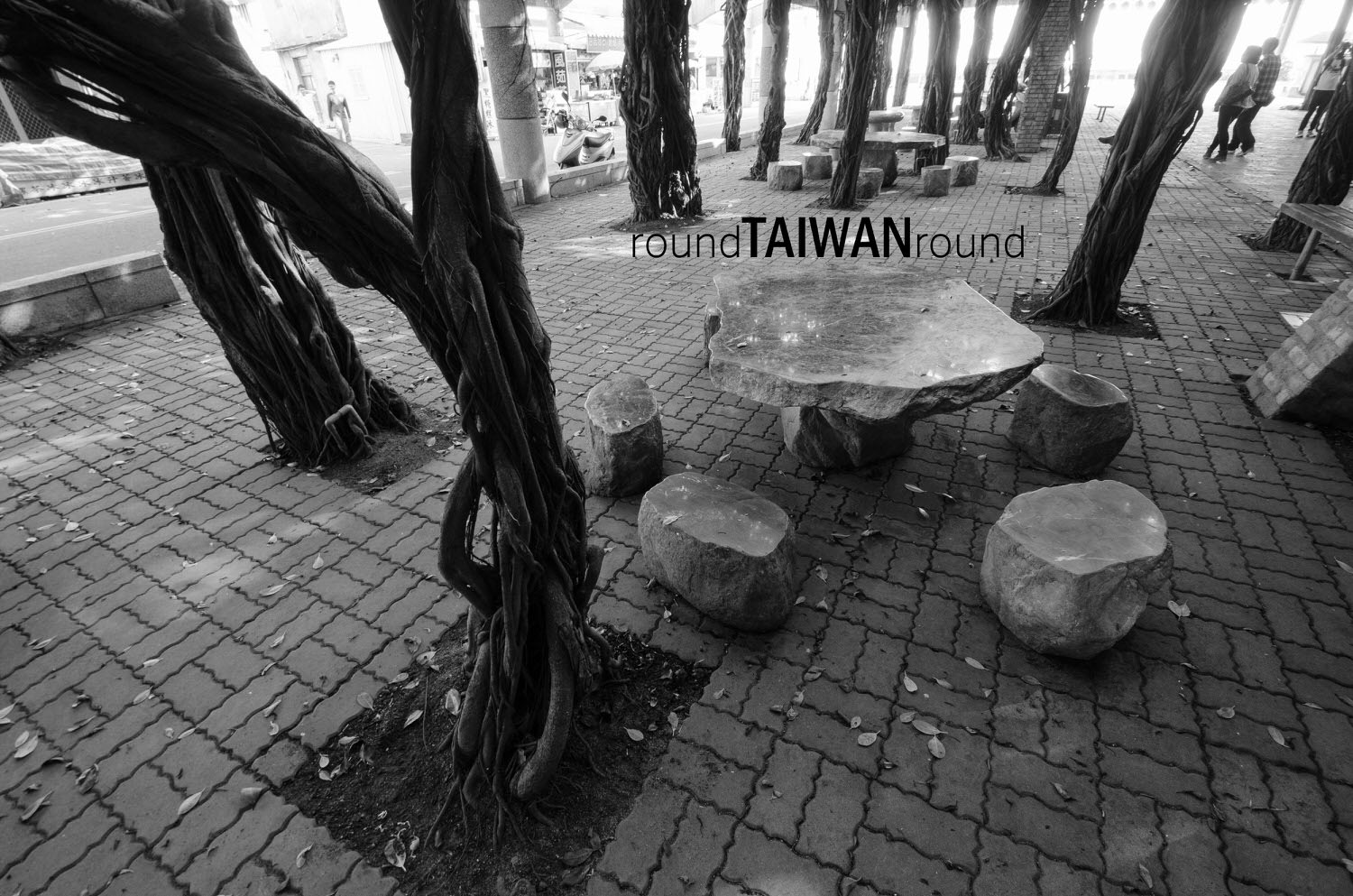 Tongliang_Old_Banyan_______-009.jpg