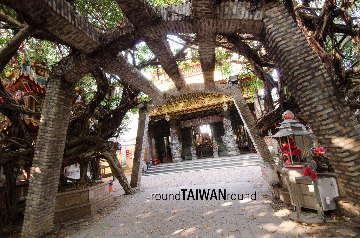 Tongliang_Old_Banyan_______-010.jpg