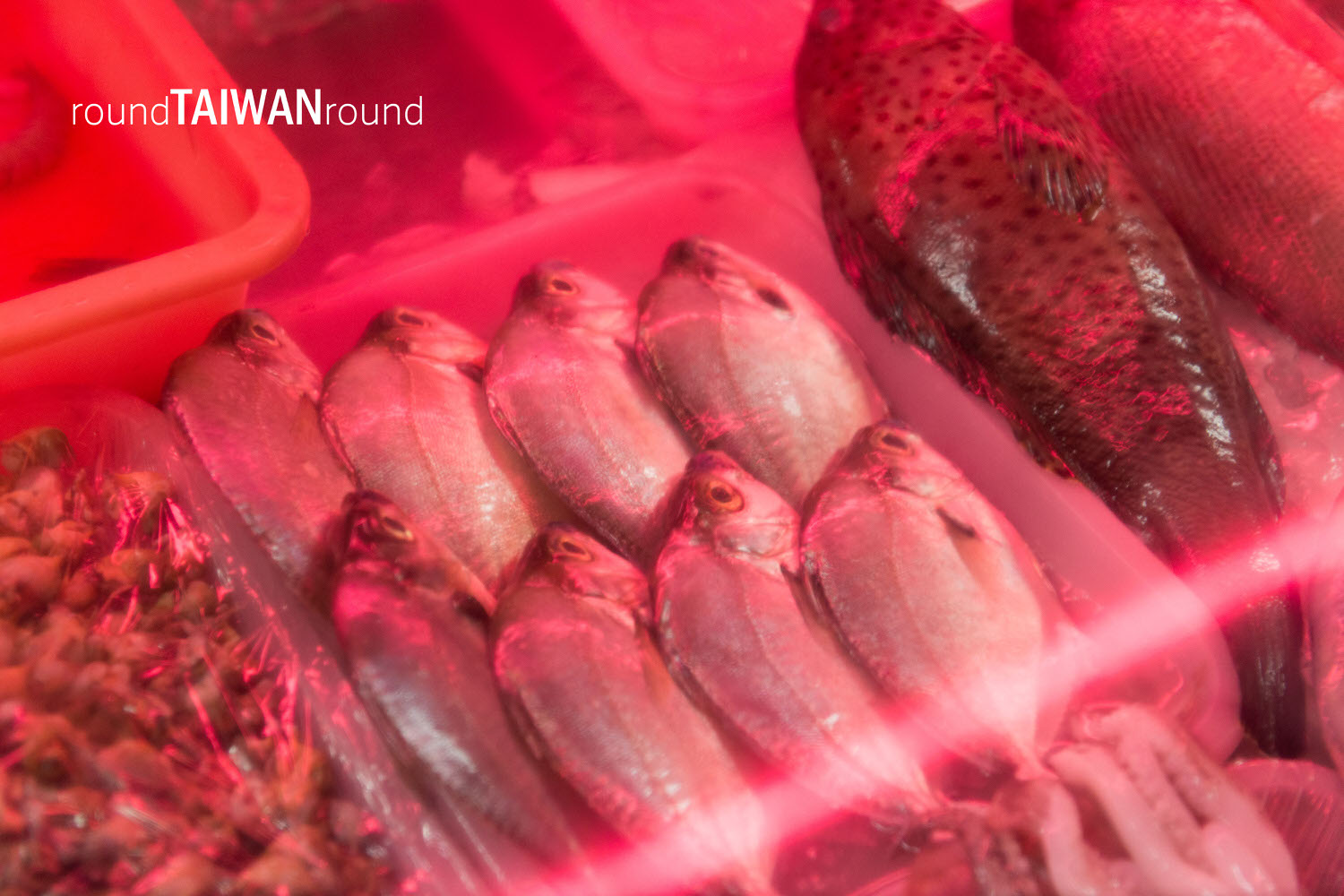 Jinhoujia_Fried_Oyster_________-003.jpg