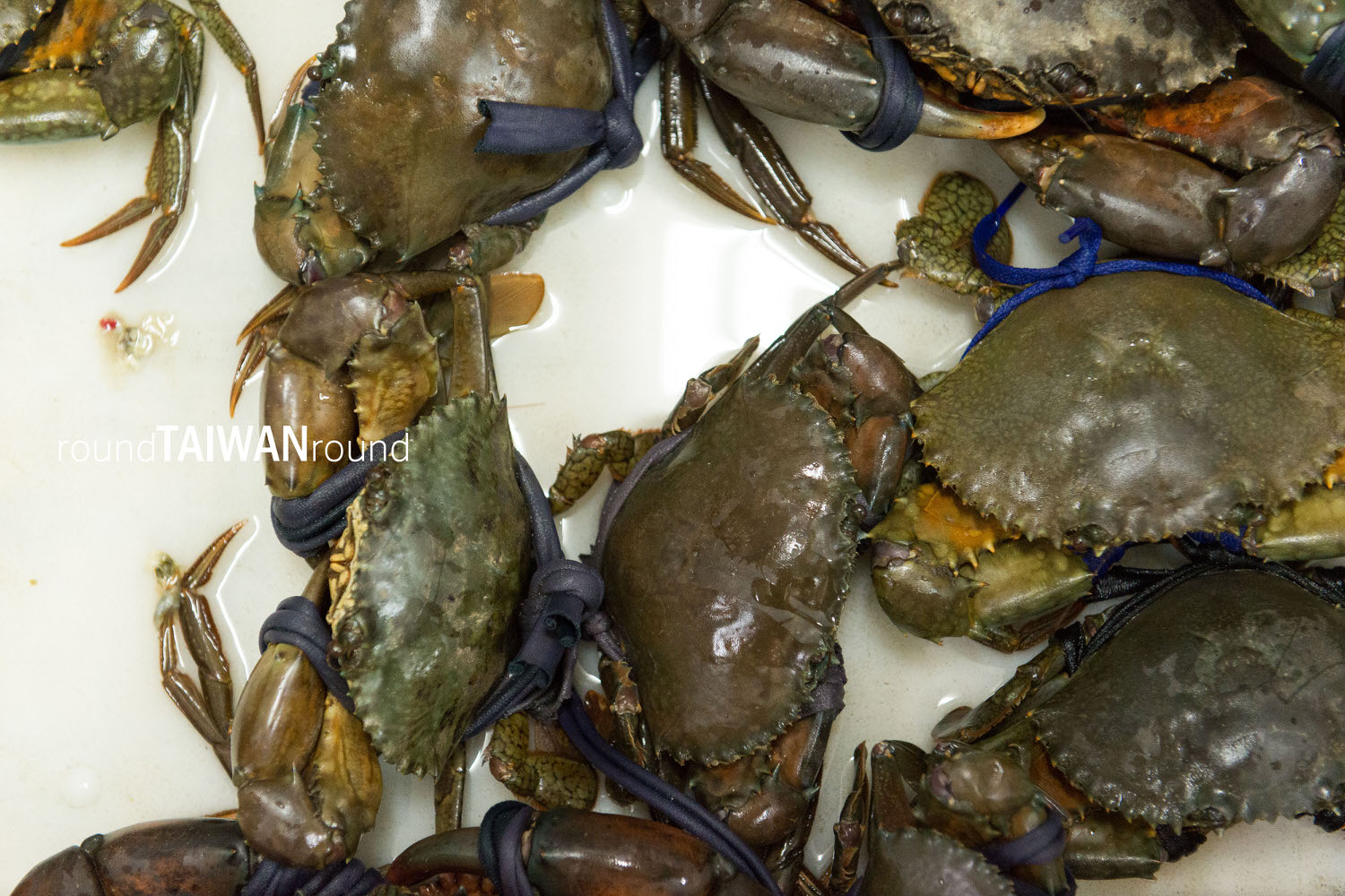 Jinhoujia_Fried_Oyster_________-005.jpg