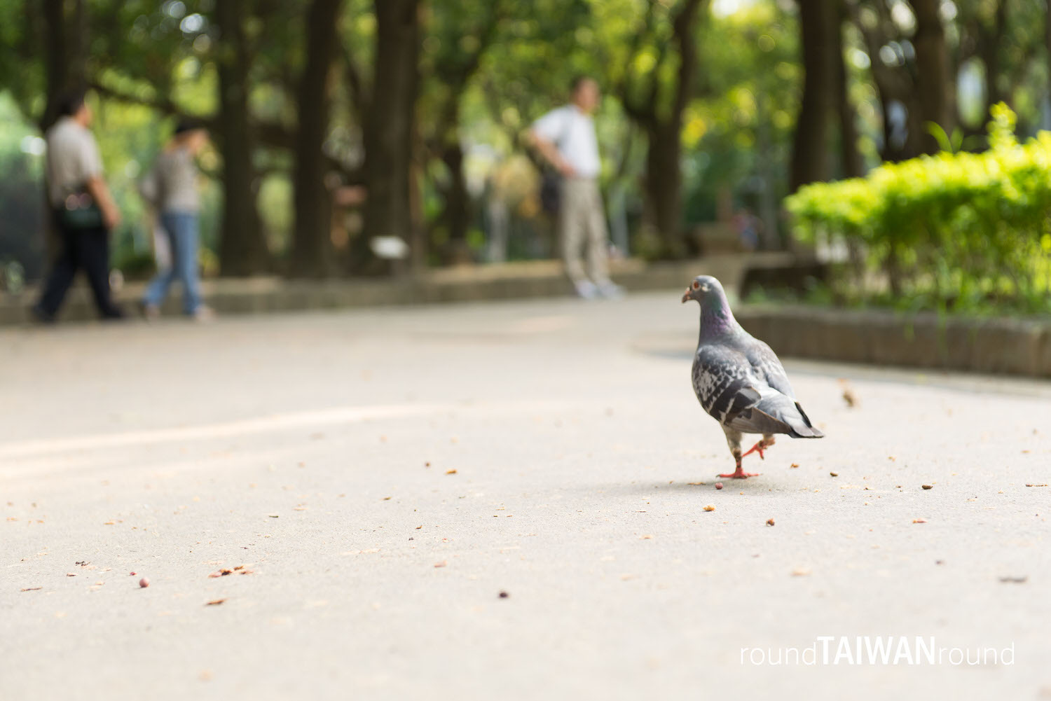 228_Peace_Memorial_Park____________-021.jpg
