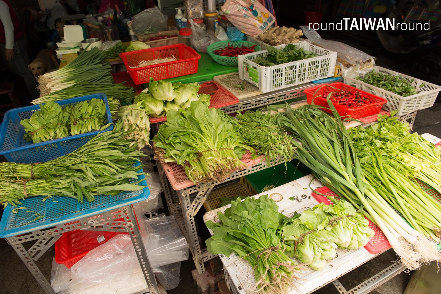 Chiayi_East_Market________-002.jpg