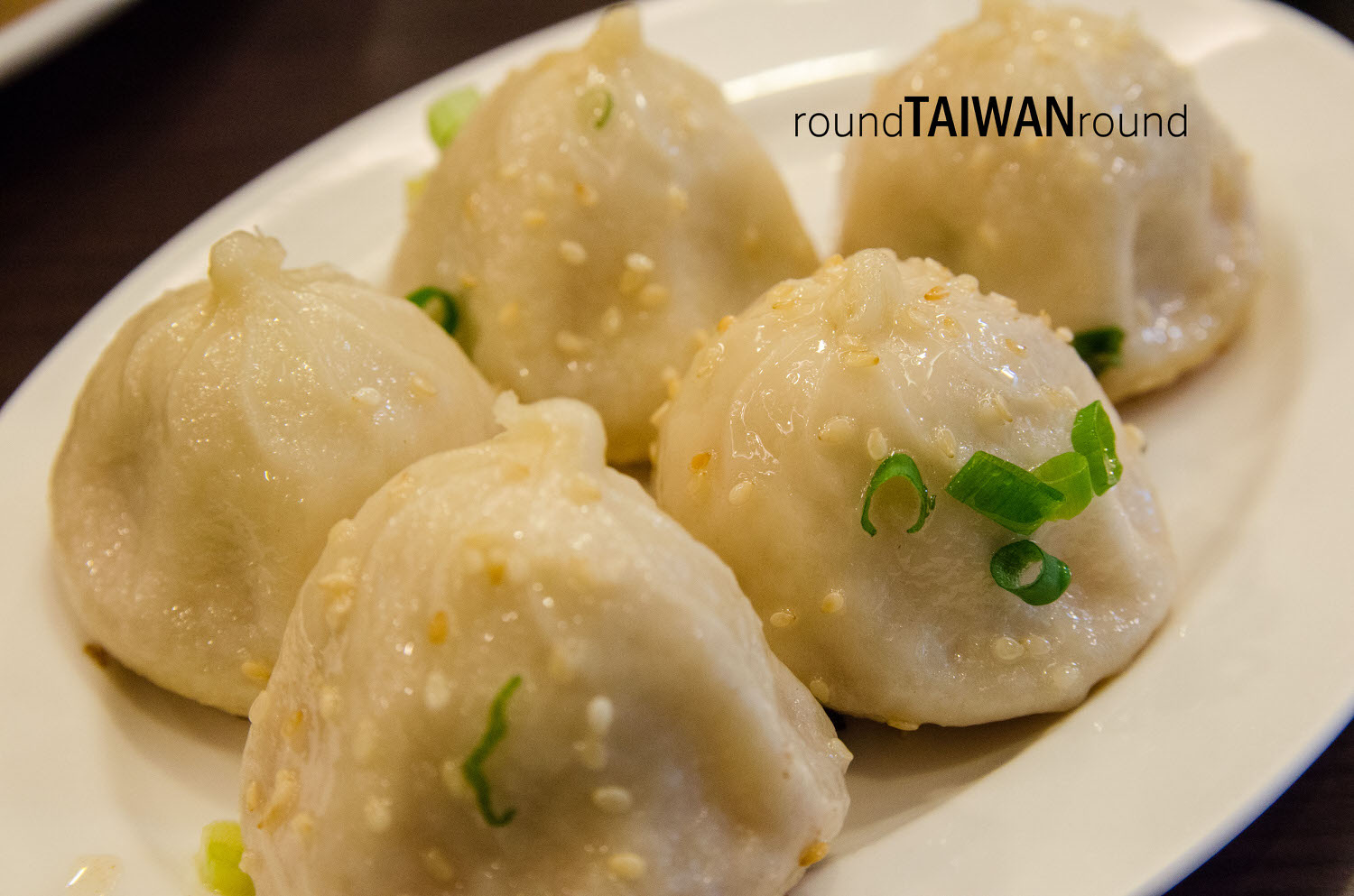 Shanghai_Xiao_Long_Bao_______-013.jpg
