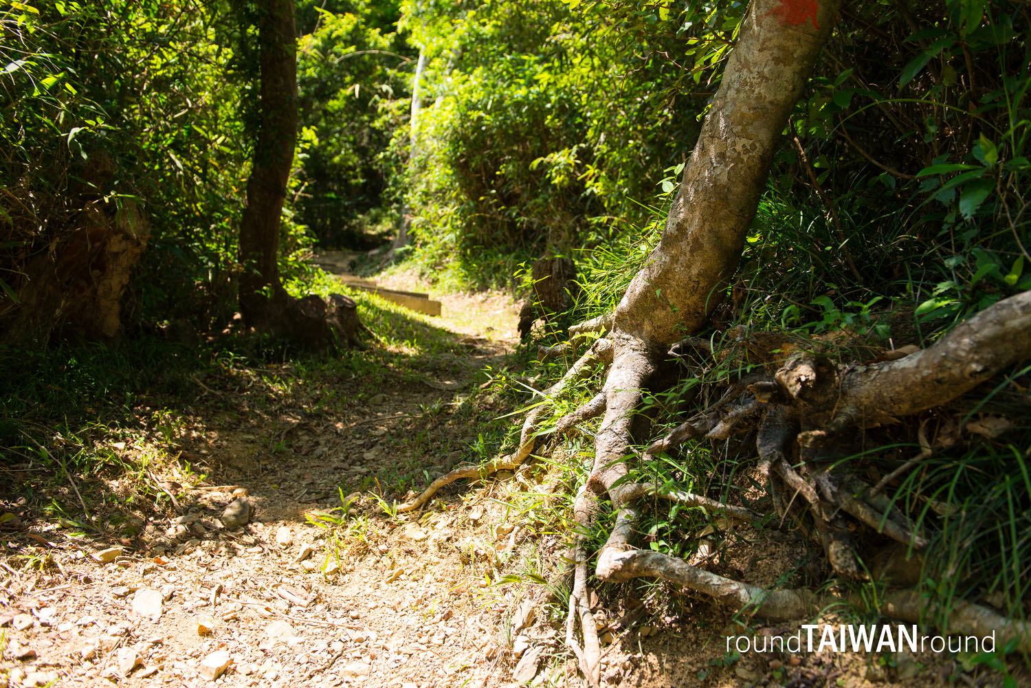 Shuangliu_Forest_Recreation_Area__________-008.jpg