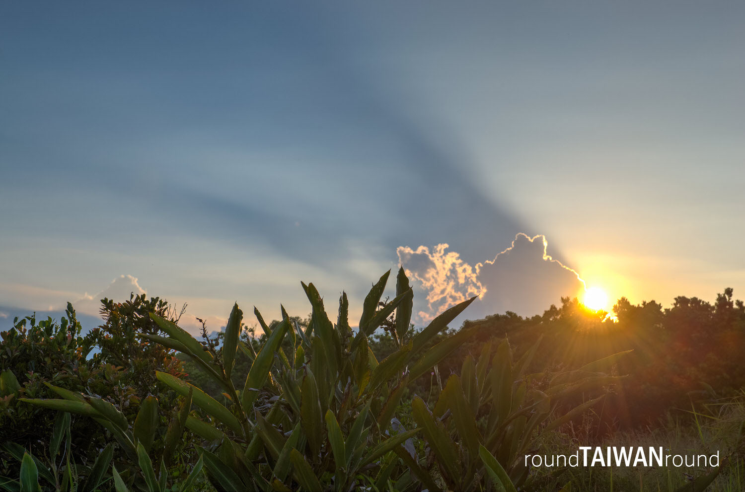 Xuhai_Grassland________-030.jpg