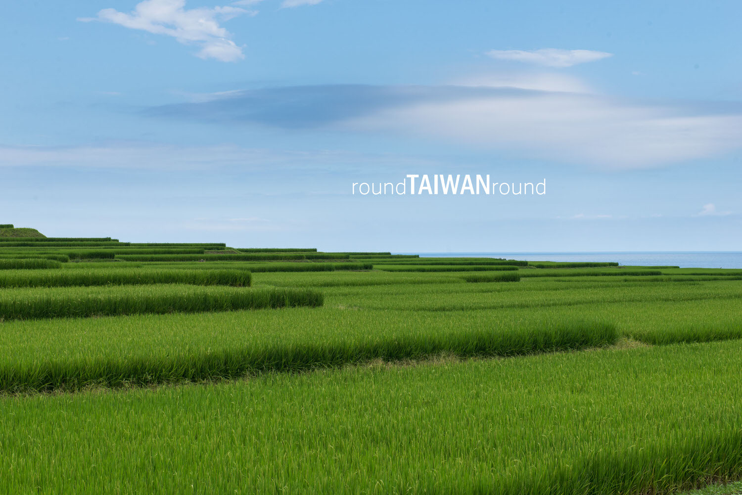 Xinshe_Coastal_Rice_Terrances_________-012.jpg