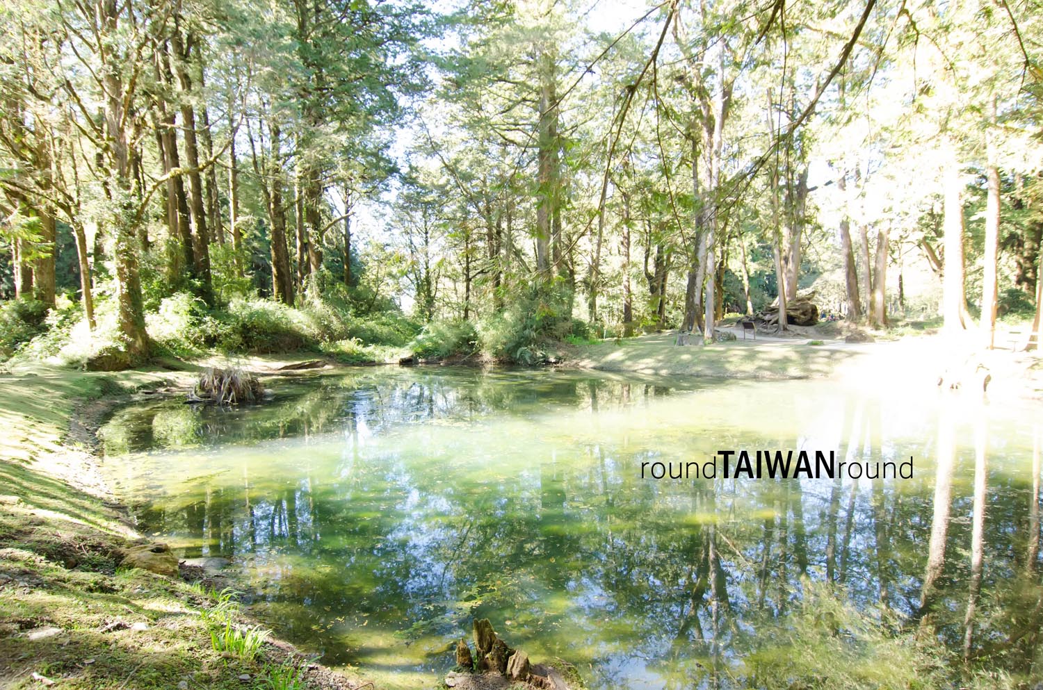 Alishan_Sisters_Ponds_________-009.jpg