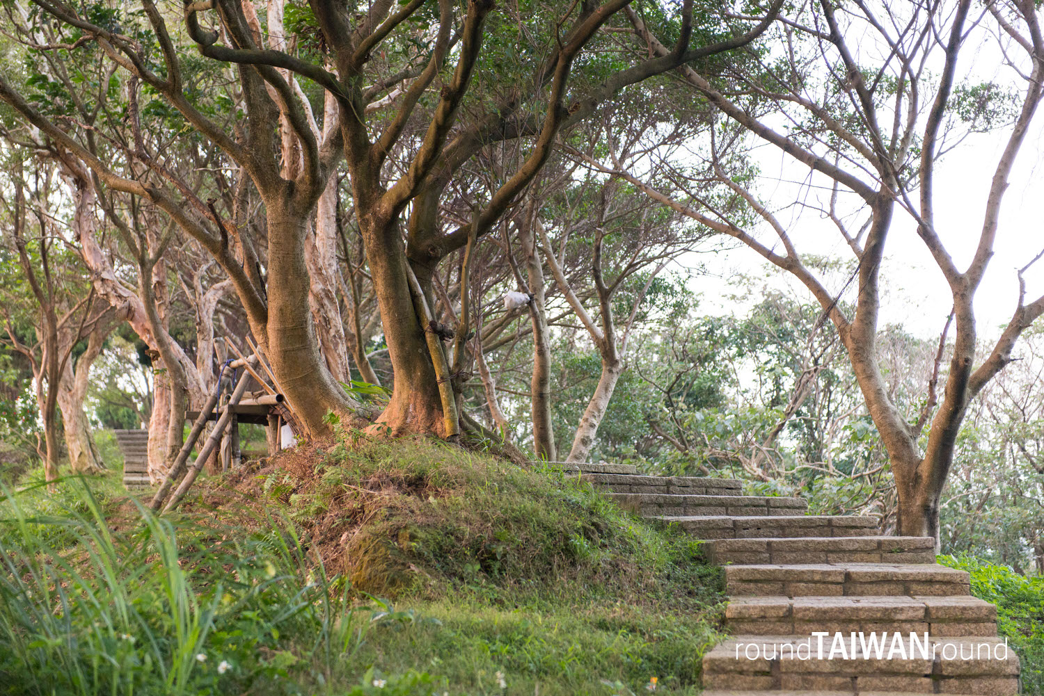 Tiger_Mountain_____-023.jpg