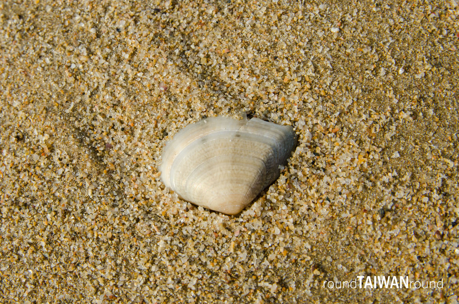 Fuzheng_Beach_______-009.jpg