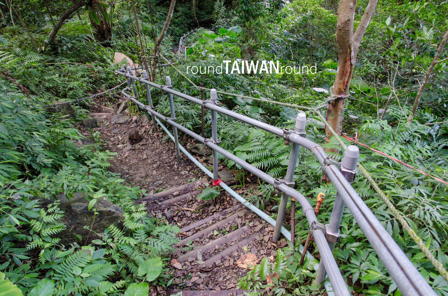 Dananao_Old_Trail________-006.jpg