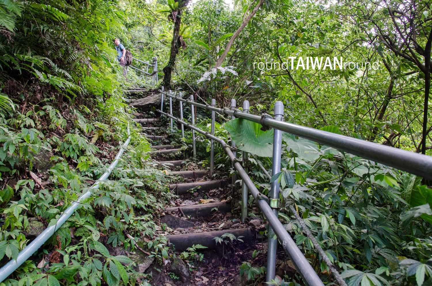 Dananao_Old_Trail________-007.jpg