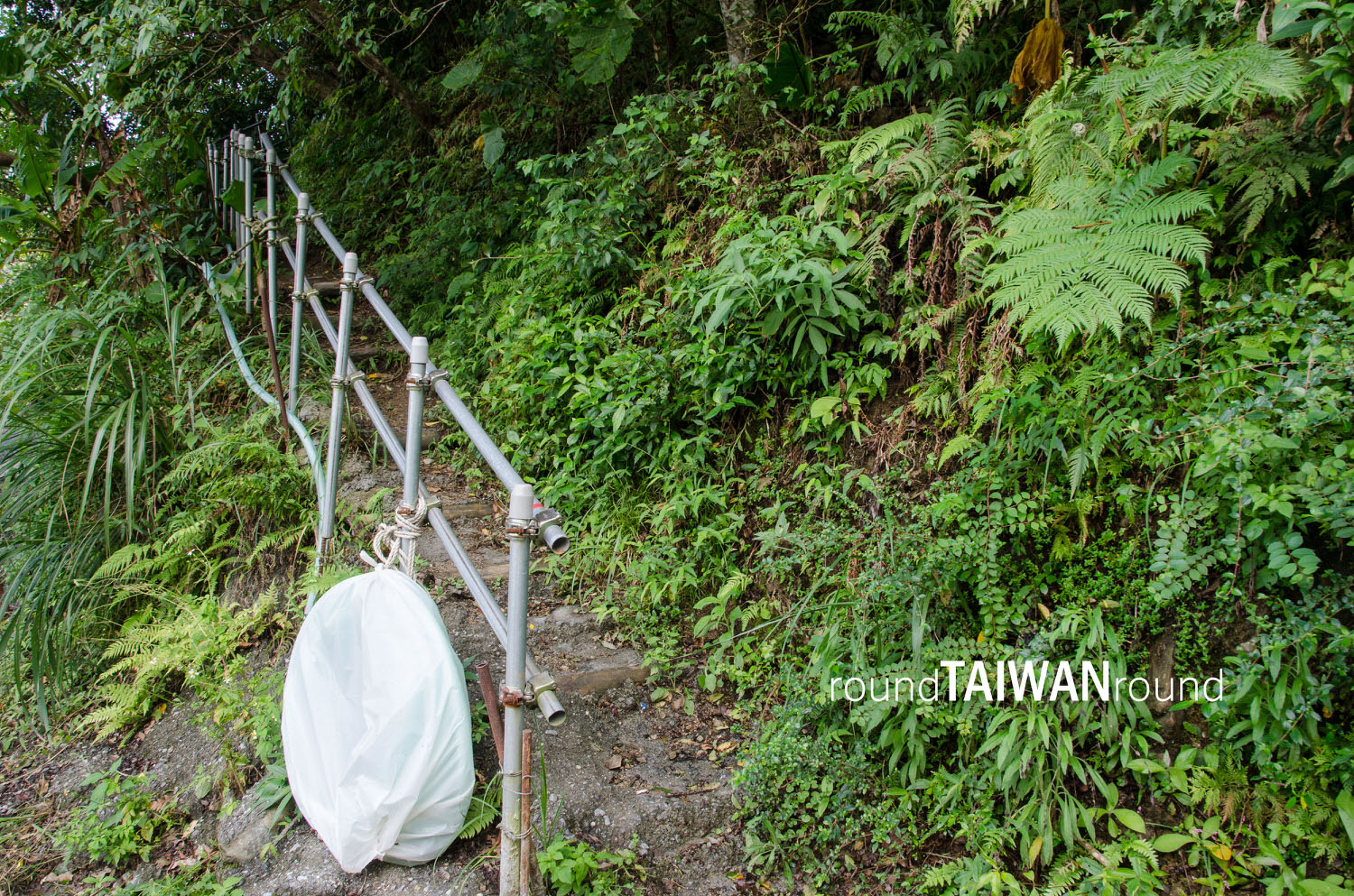 Dananao_Old_Trail________-003.jpg
