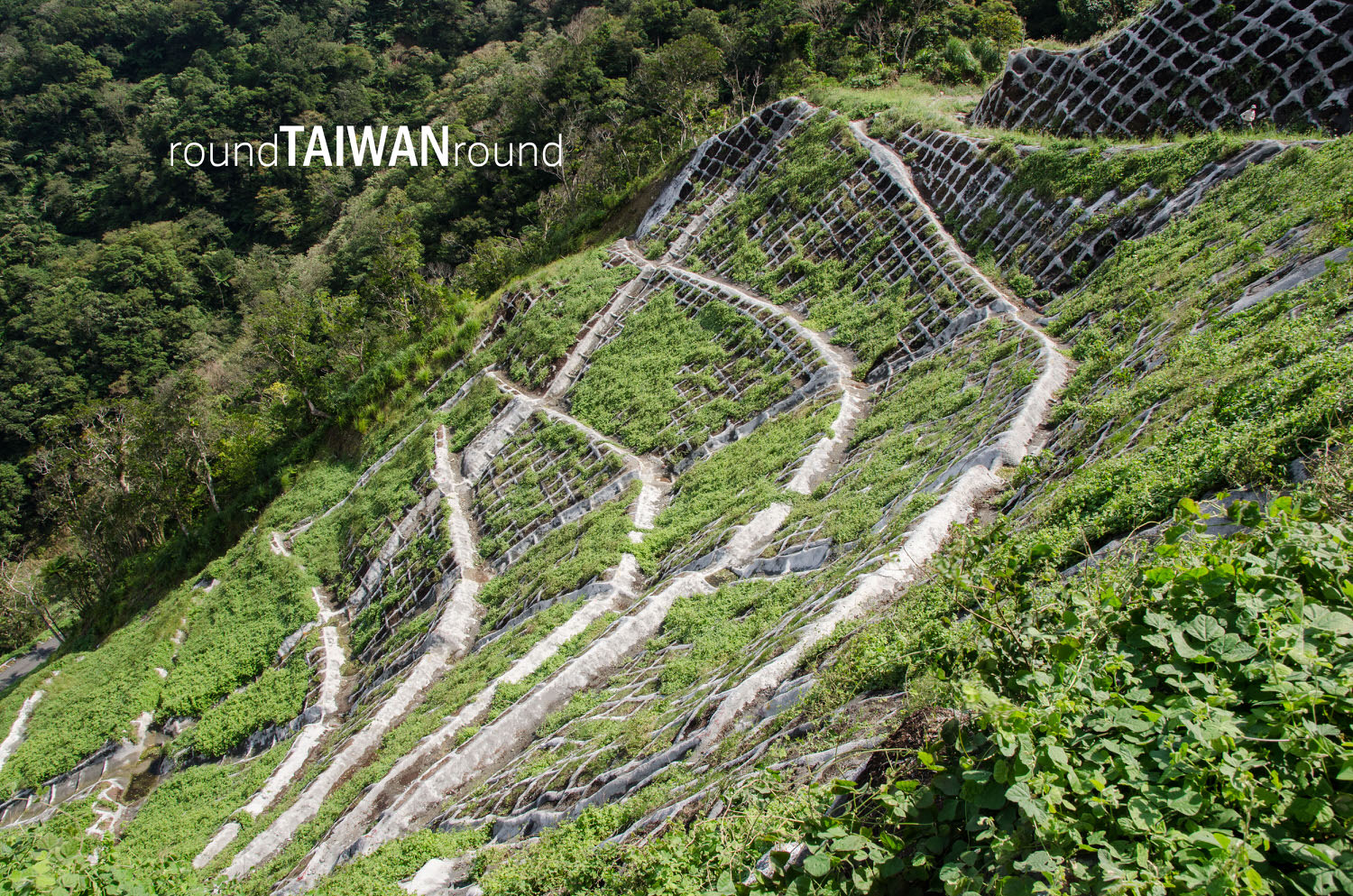 Dananao_Old_Trail________-011.jpg