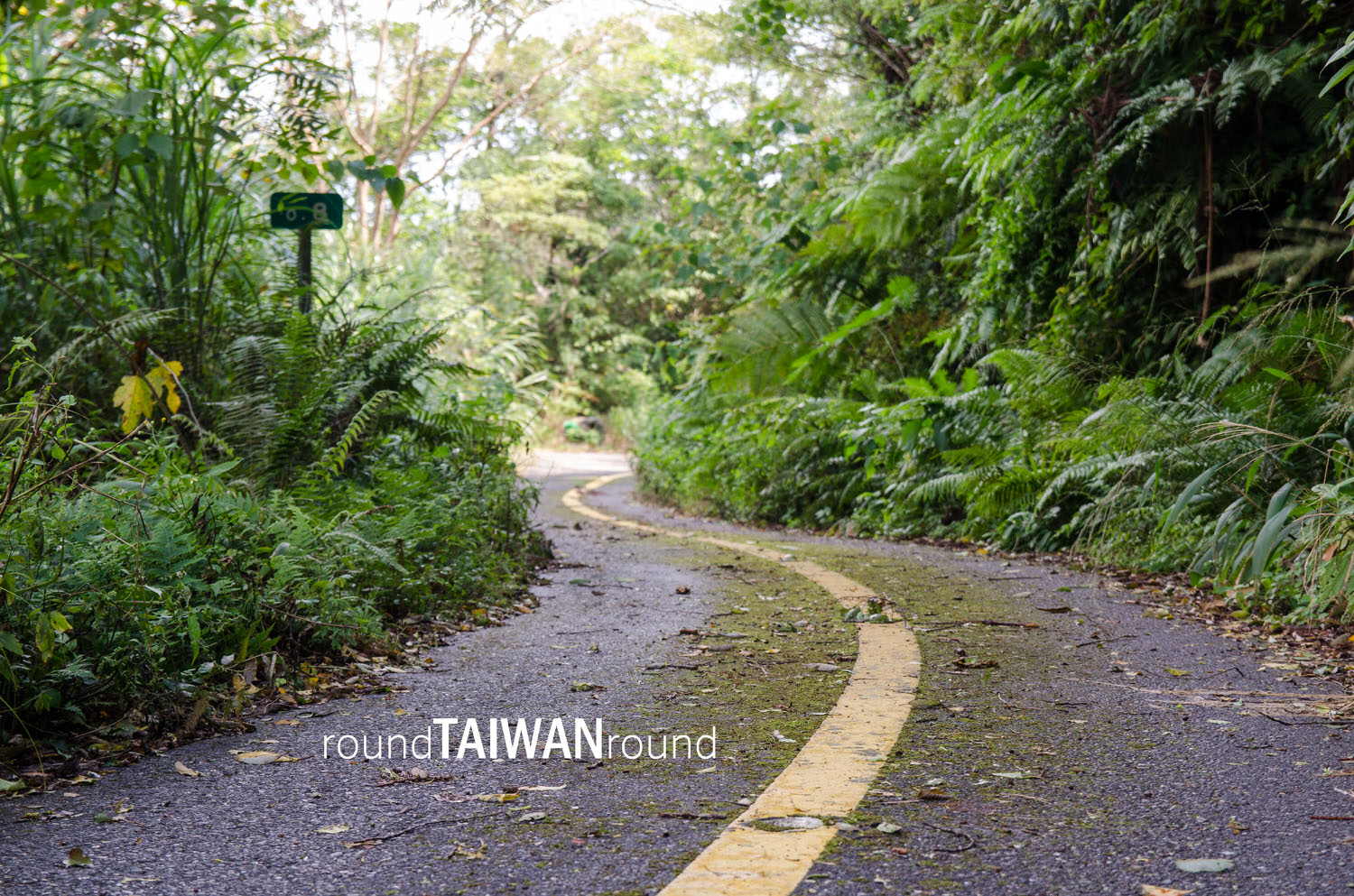 Dananao_Old_Trail________-013.jpg