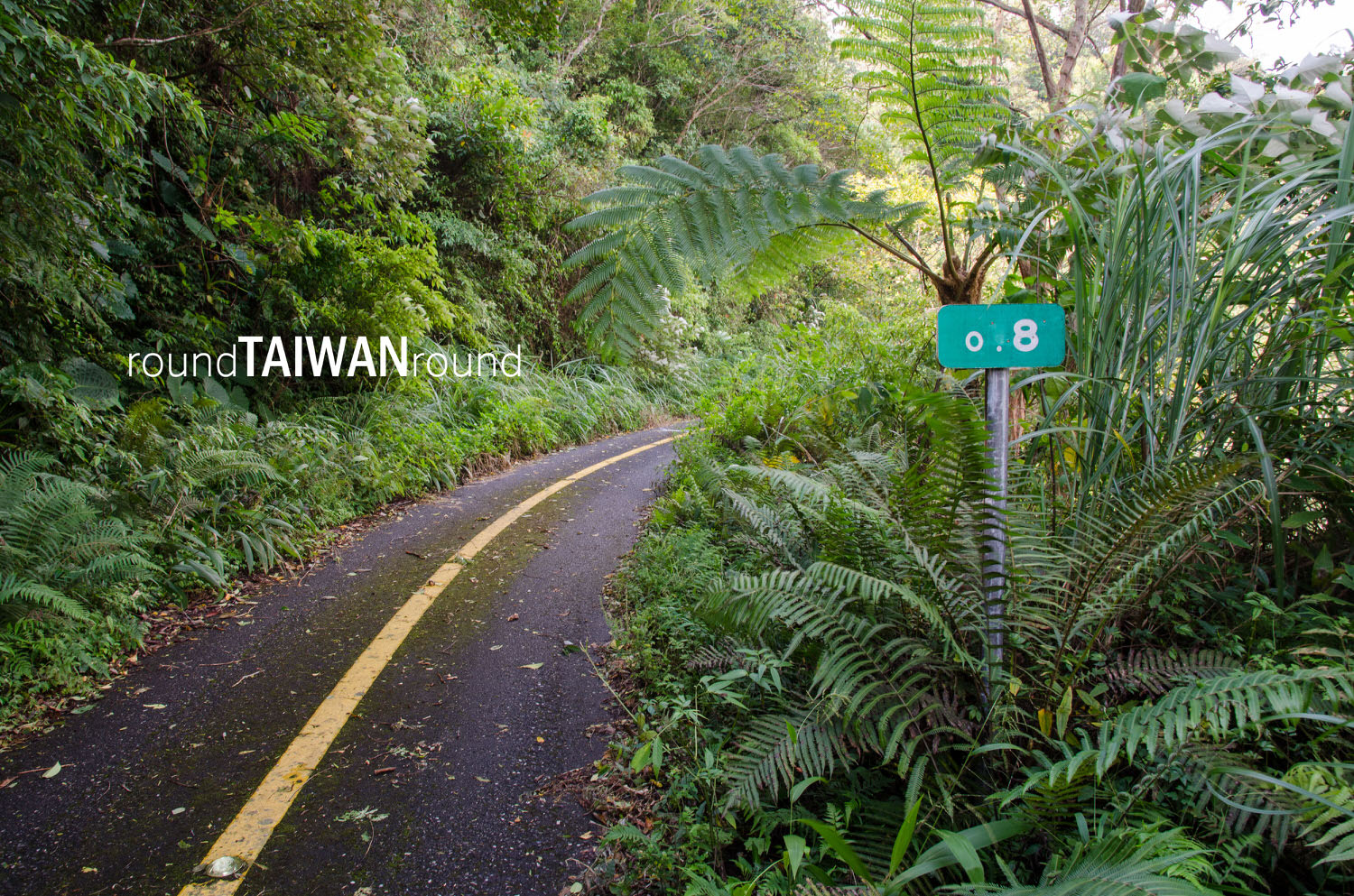 Dananao_Old_Trail________-012.jpg