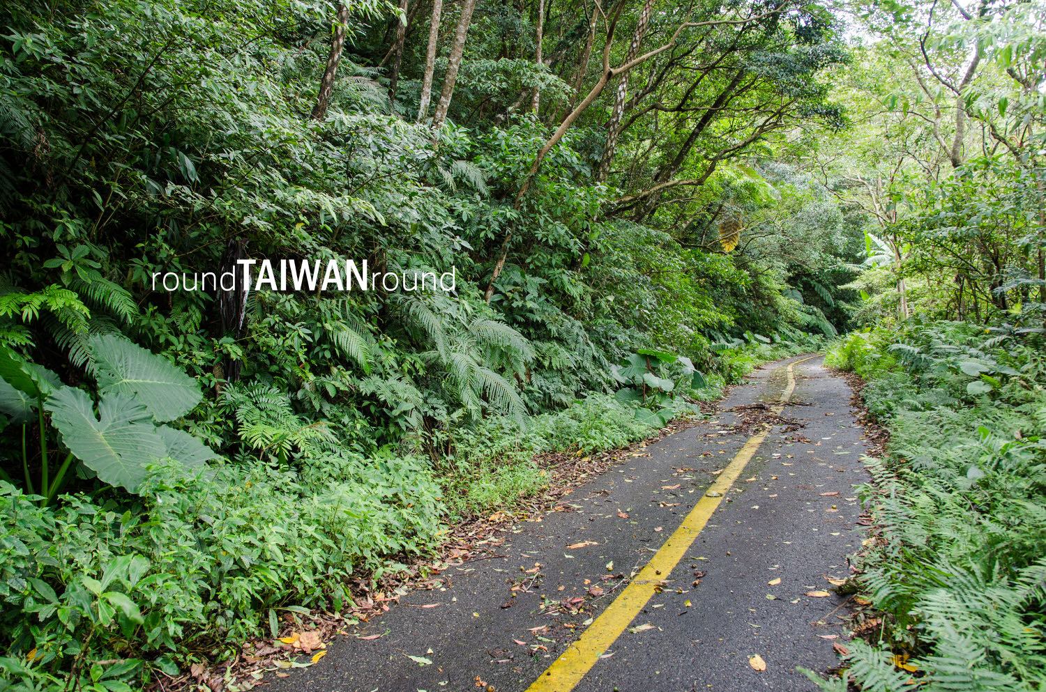Dananao_Old_Trail________-015.jpg