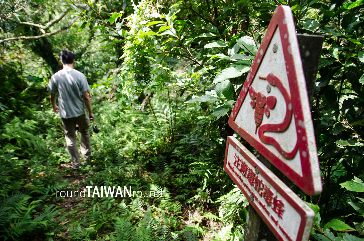 Dananao_Old_Trail________-037.jpg