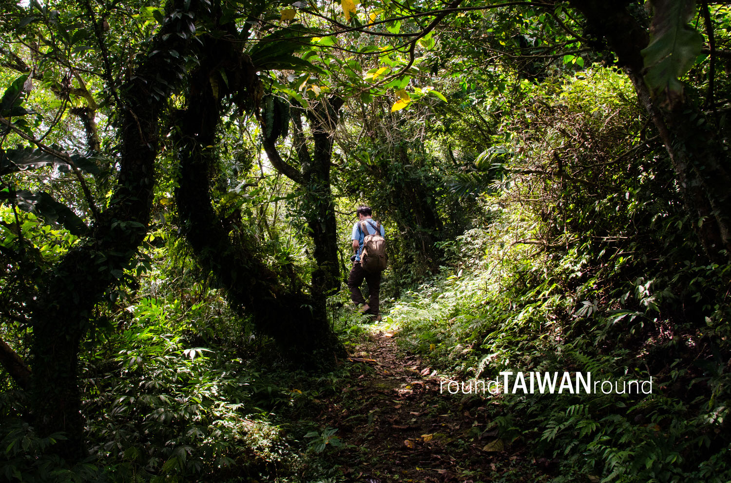 Dananao_Old_Trail________-041.jpg