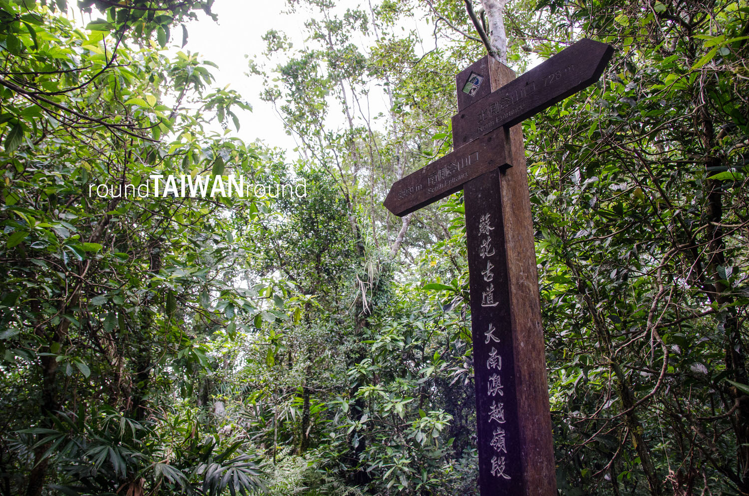 Dananao_Old_Trail________-055.jpg
