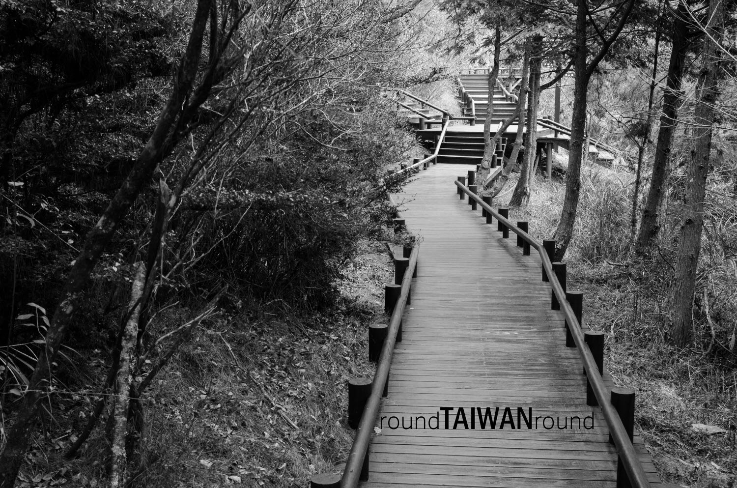Guanwu_National_Forest_Recreational_Area____________-009.jpg