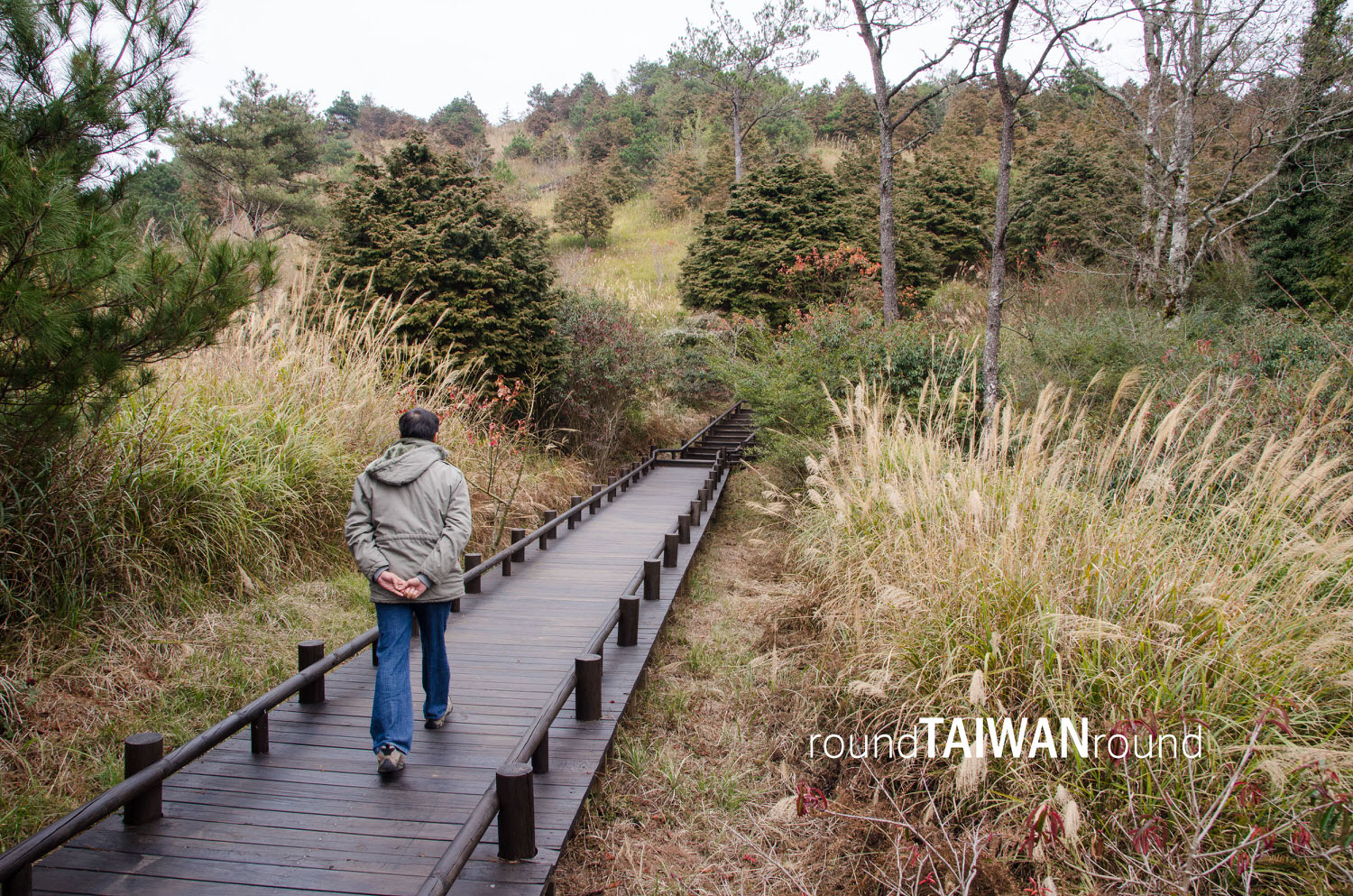 Guanwu_National_Forest_Recreational_Area____________-012.jpg