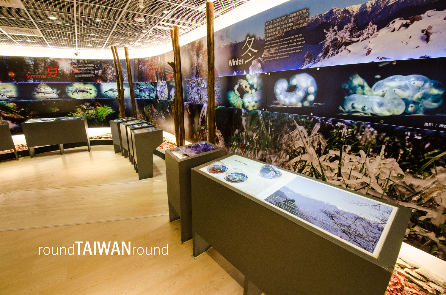 Guanwu_National_Forest_Recreational_Area____________-004.jpg