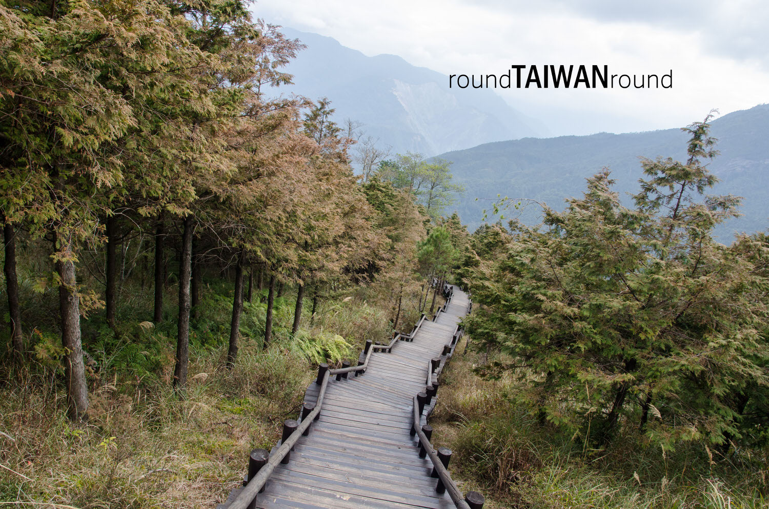 Guanwu_National_Forest_Recreational_Area____________-014.jpg