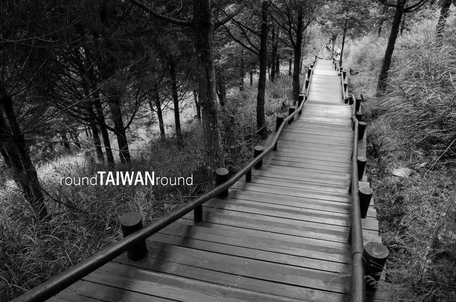 Guanwu_National_Forest_Recreational_Area____________-013.jpg
