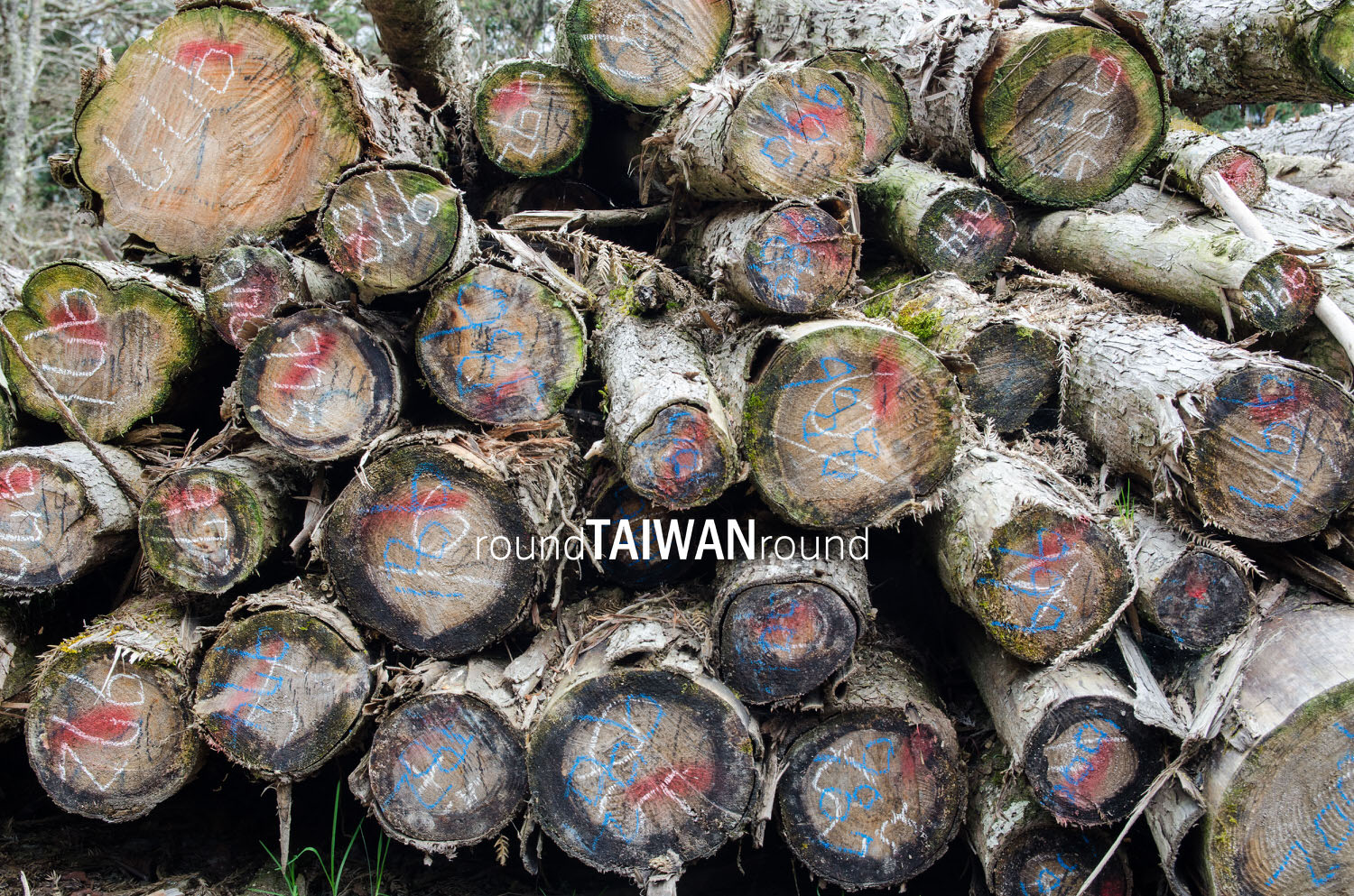 Guanwu_National_Forest_Recreational_Area____________-020.jpg