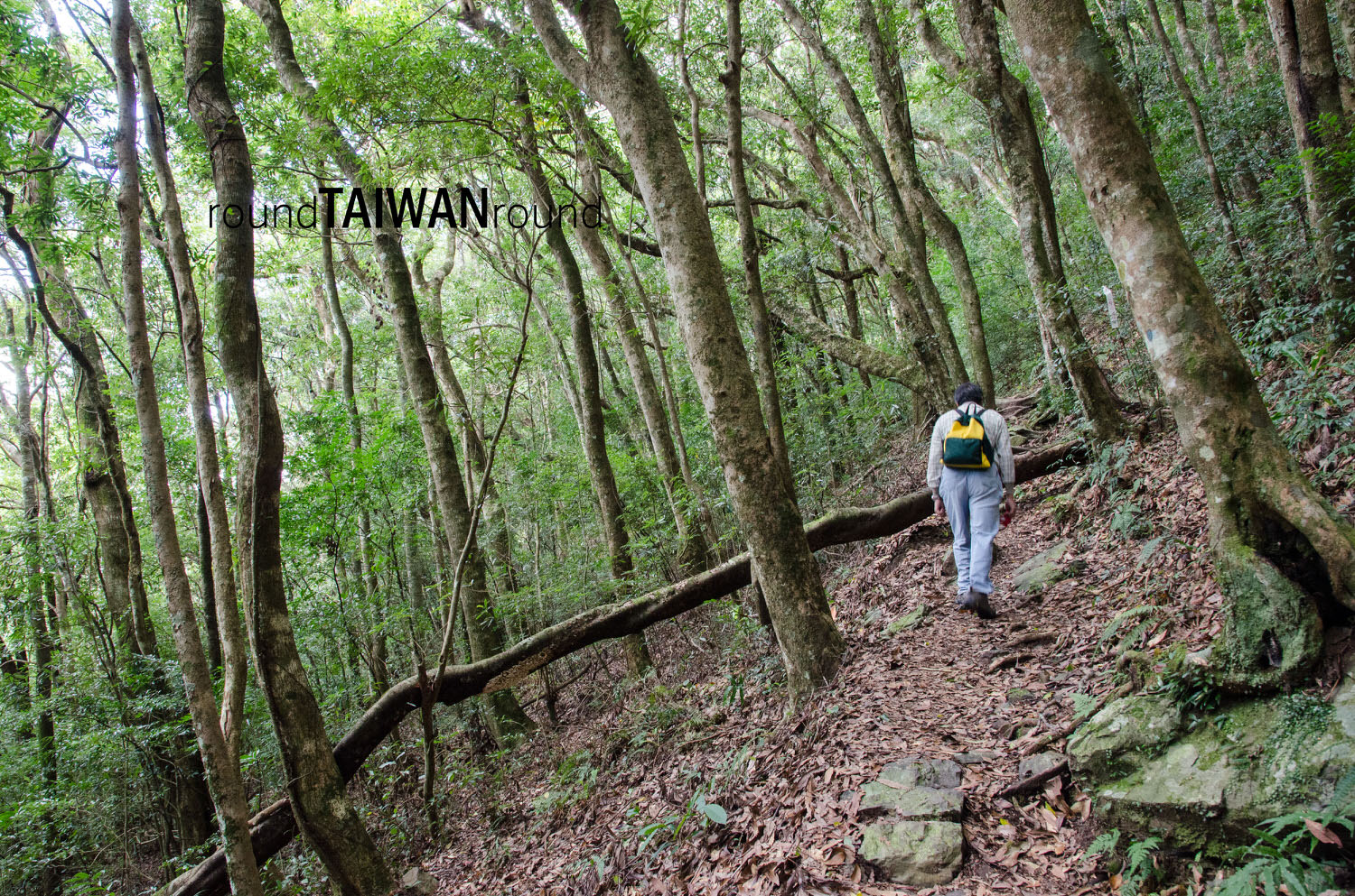 Lidongshan______-009.jpg