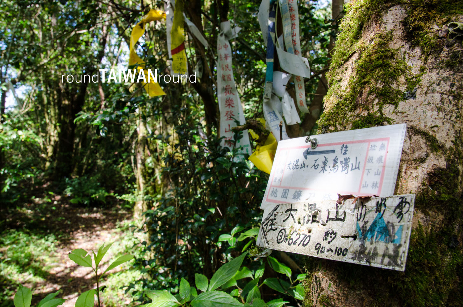 Lidongshan______-026.jpg