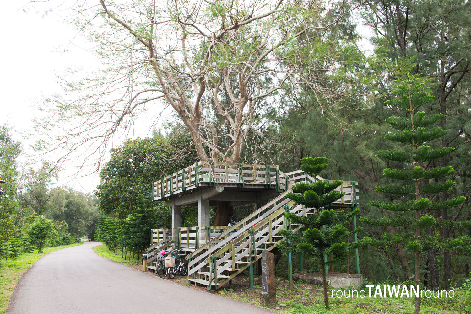 Taitung_Forest_Park_________-013.jpg