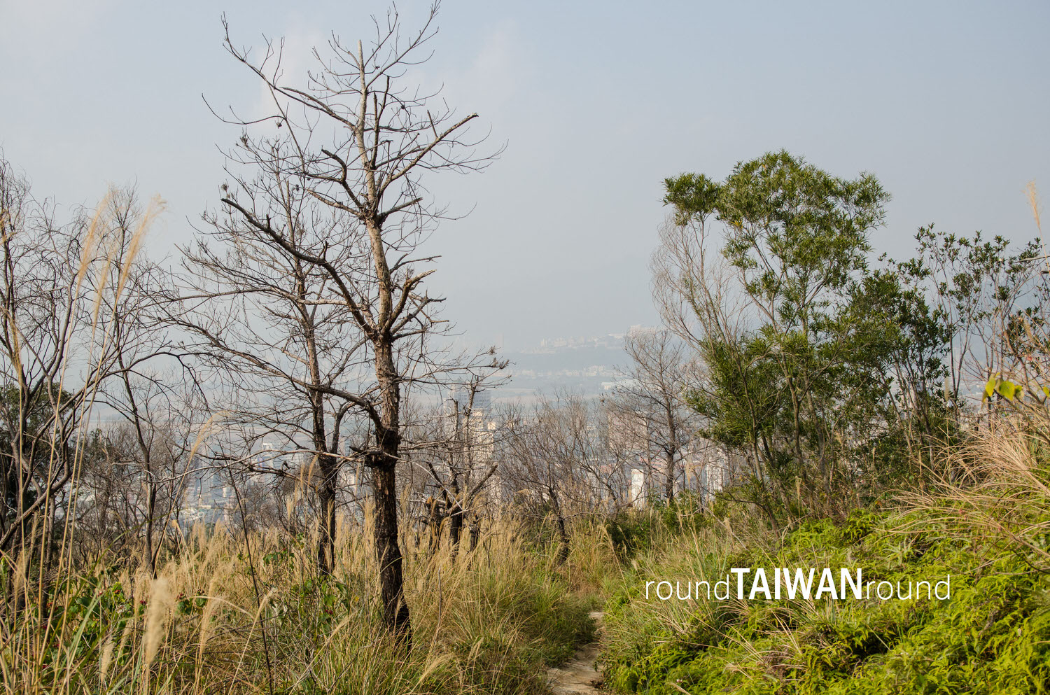 Red_Phoenix_Hiking_Trail__________-007.jpg