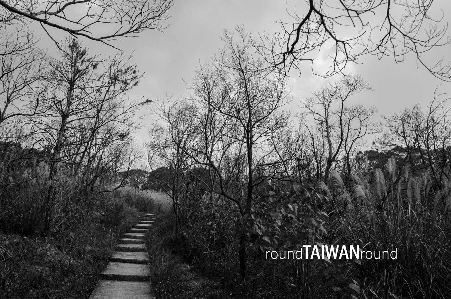 Red_Phoenix_Hiking_Trail__________-013.jpg