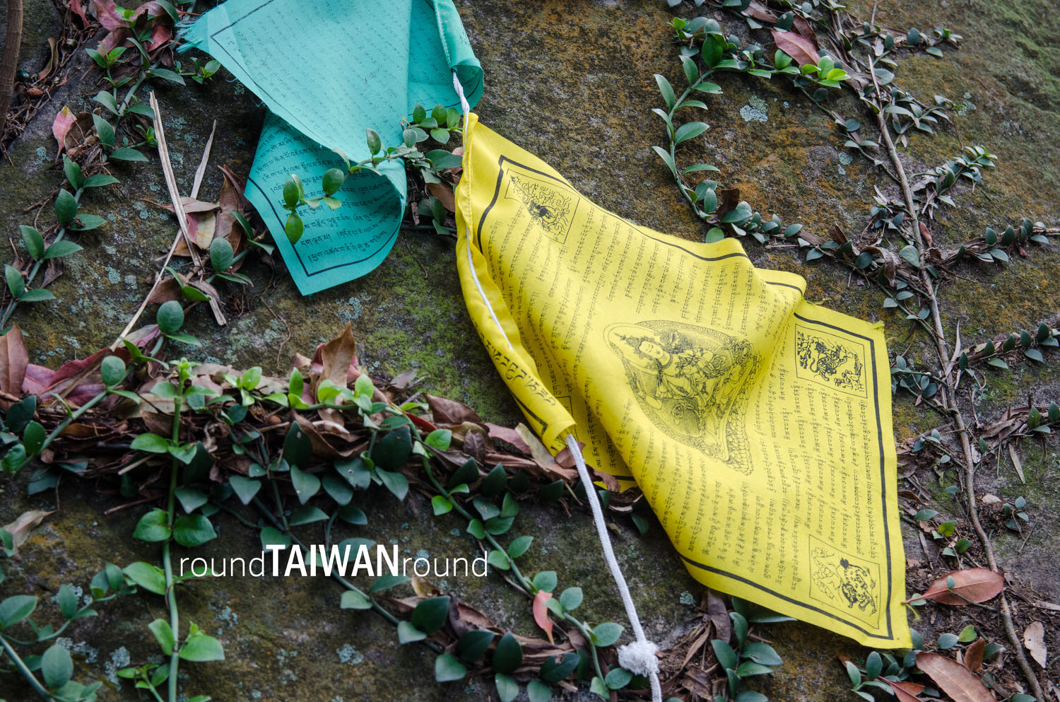 Red_Phoenix_Hiking_Trail__________-023.jpg