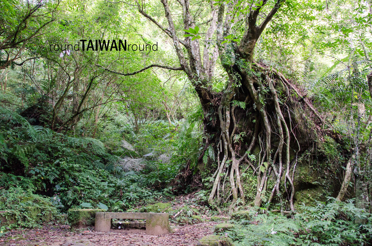 Xiaozishan______-008.jpg