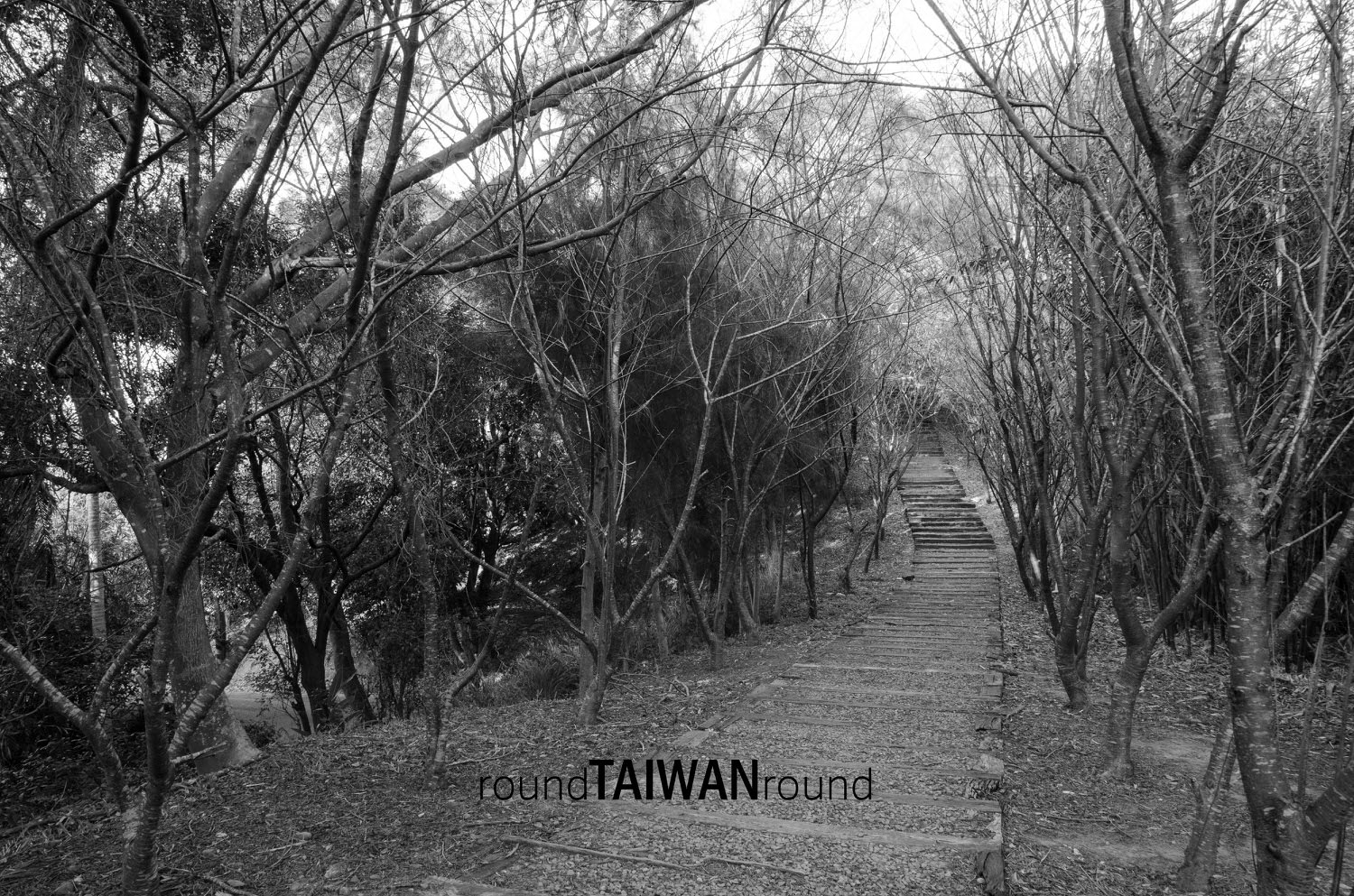 Zhenghan_Trail_______-003.jpg