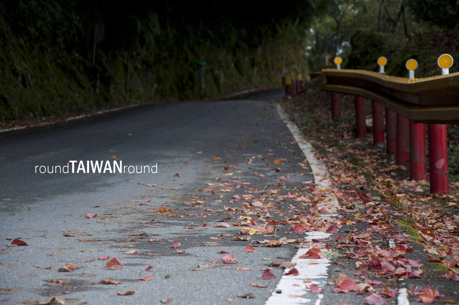 Central_Cross-Island_Highway_________-012.jpg