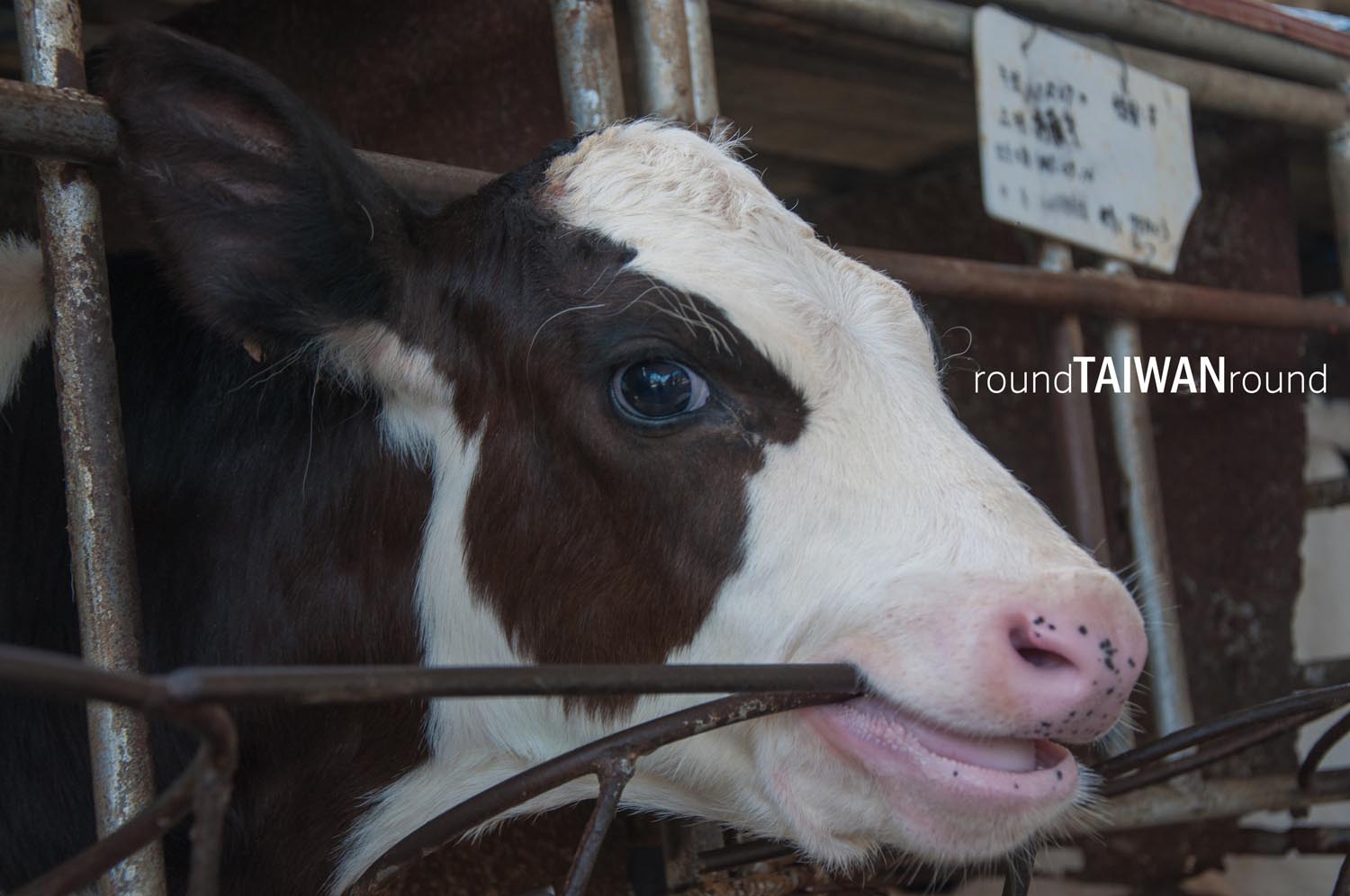 Chulu_Ranch_______-031.jpg