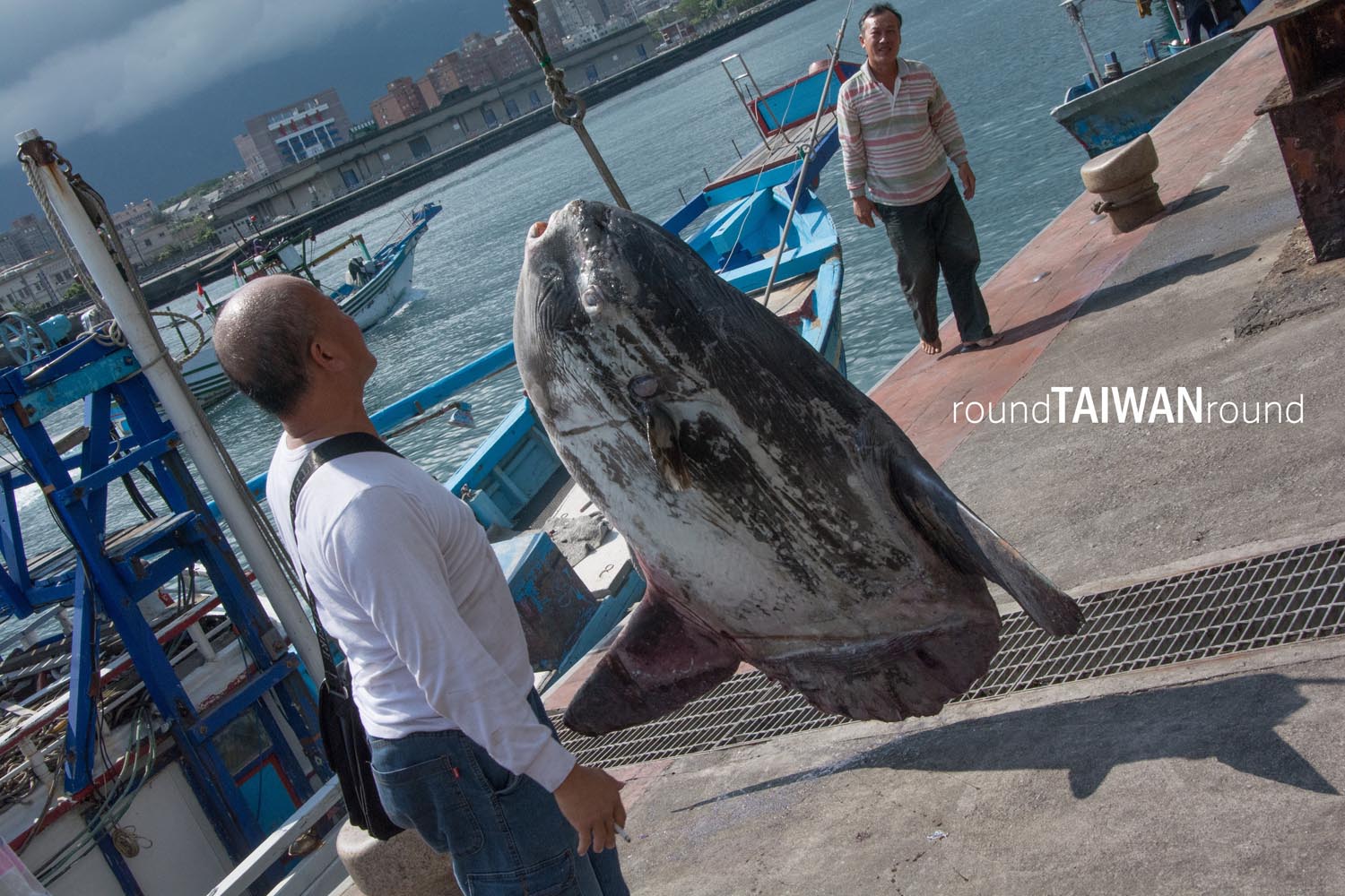 Hualien_Fishing_Harbor_______-049___.jpg