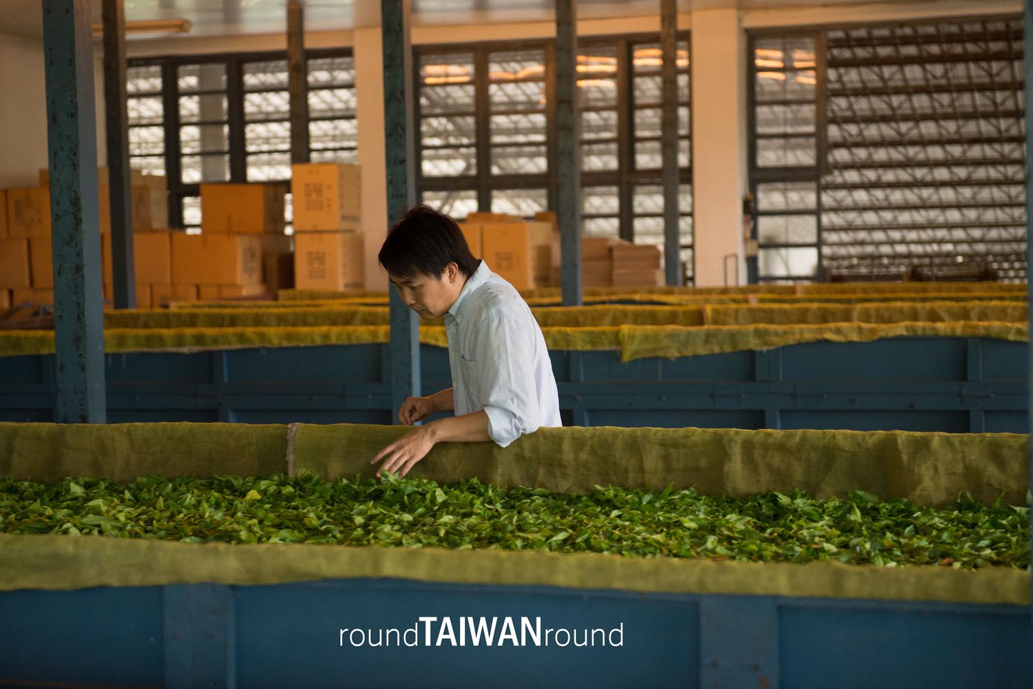 Sun_Moon_Lake_Antique_Assam_Tea_Farm________-023.jpg