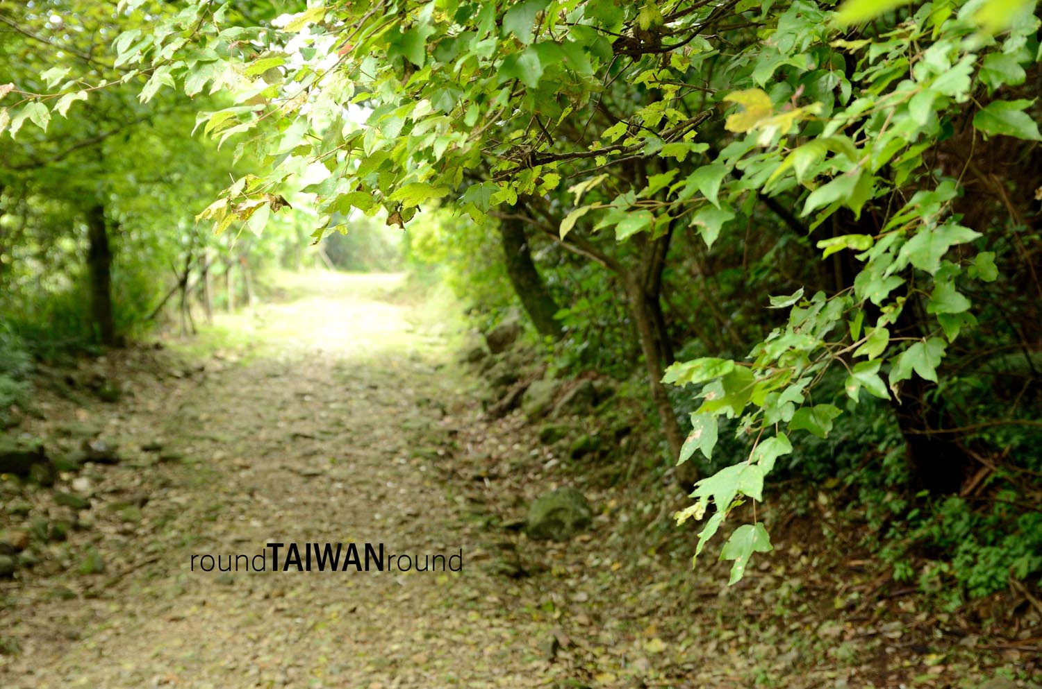 Jinguashi_Geological_park__________-005.jpg