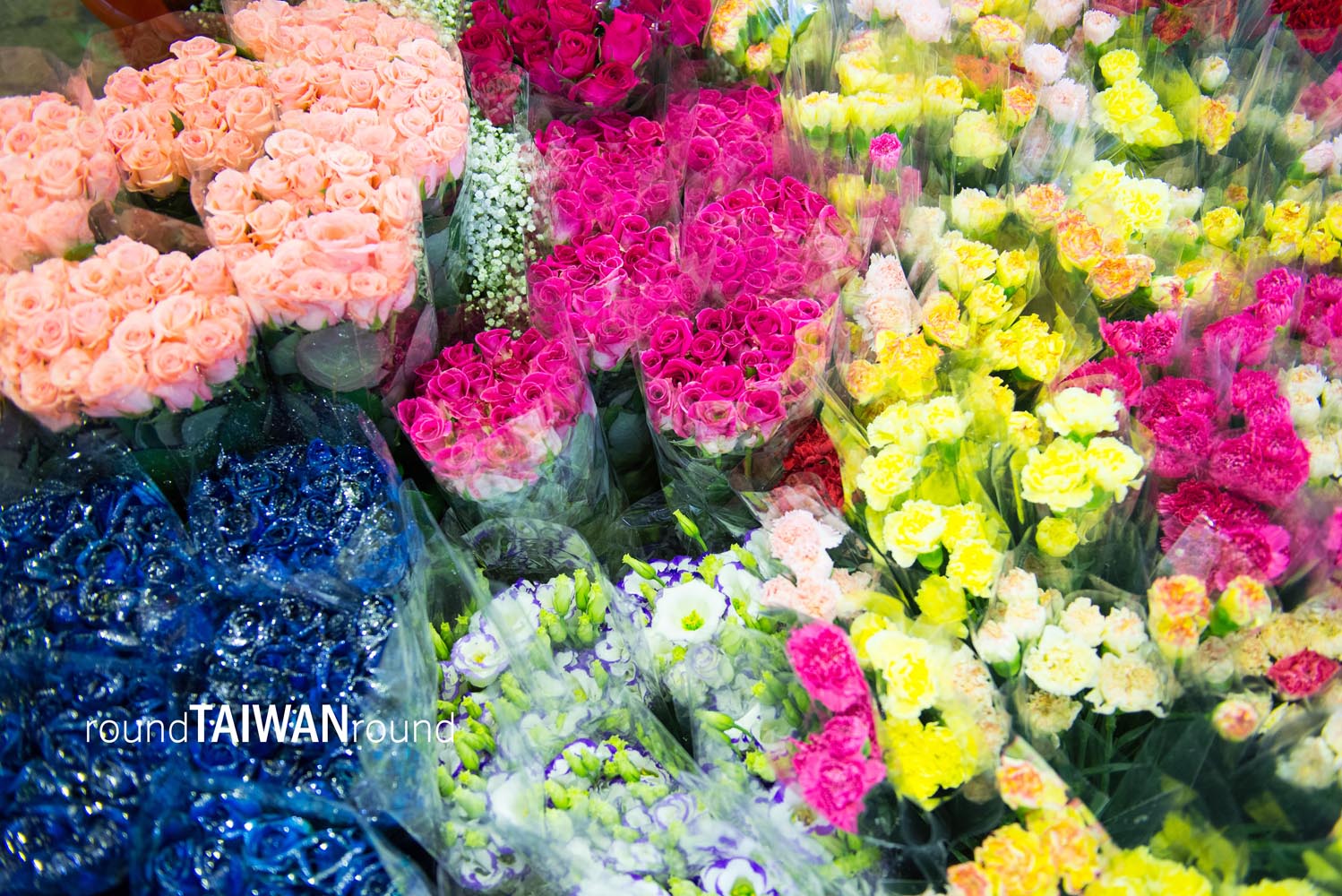 Jianguo_Holiday_Flowr_and_Jade_Market___________-022.jpg