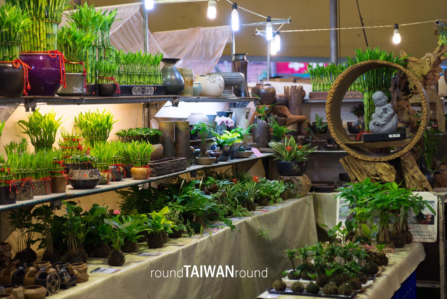 Jianguo_Holiday_Flowr_and_Jade_Market___________-033.jpg