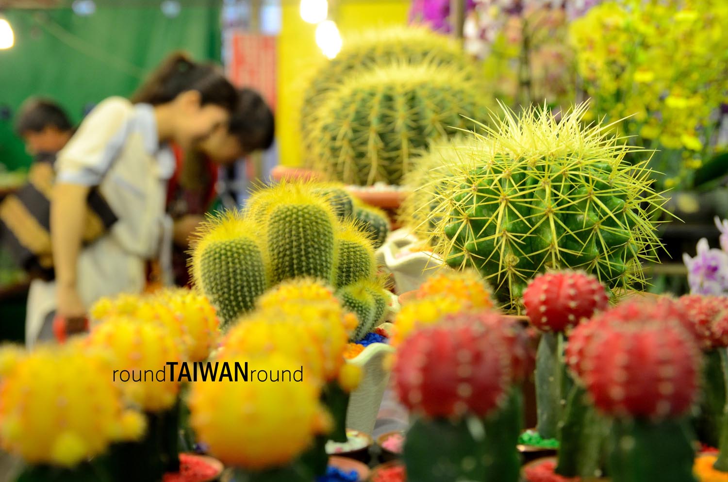 Jianguo_Holiday_Flowr_and_Jade_Market___________-062.jpg