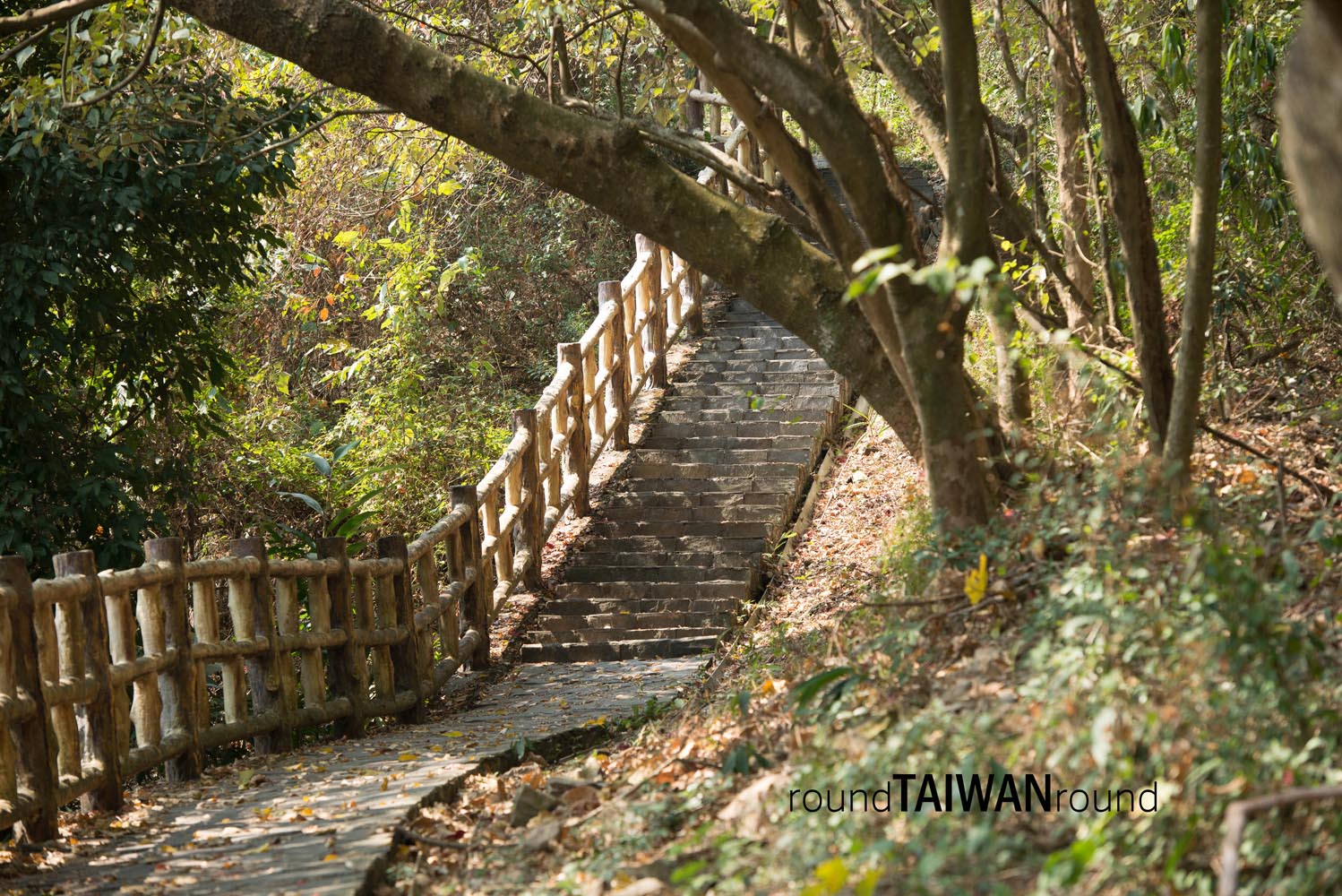 Maolin_Butterfly_Walkway_________-002.jpg